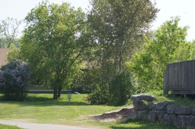 Haliburton DGC, Main course, Hole 2 Tee pad