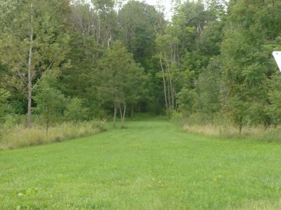 Lake Whittaker Conservation Park, Main course, Hole 16 Short tee pad