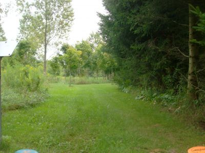 Lake Whittaker Conservation Park, Main course, Hole 4 Short tee pad