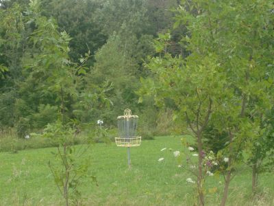 Lake Whittaker Conservation Park, Main course, Hole 8 Short approach