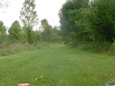 Lake Whittaker Conservation Park, Main course, Hole 5 Short tee pad