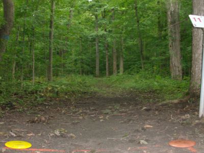 Lake Whittaker Conservation Park, Main course, Hole 11 Short tee pad