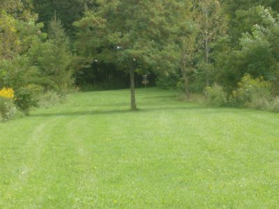 Lake Whittaker Conservation Park, Main course, Hole 9 Short tee pad