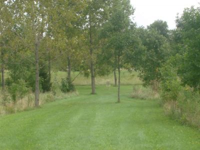 Lake Whittaker Conservation Park, Main course, Hole 6 Midrange approach