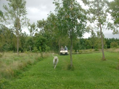 Lake Whittaker Conservation Park, Main course, Hole 12 Midrange approach