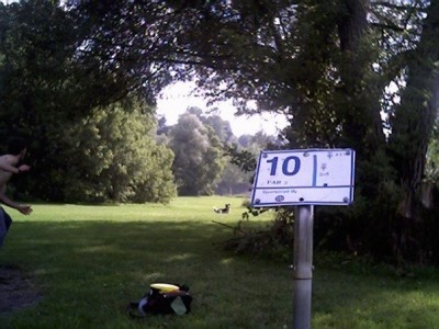 River's Edge at St. Julien's Park, Main course, Hole 10 Short tee pad