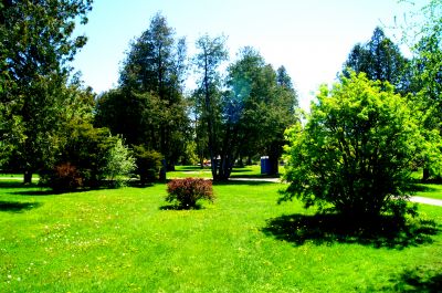 Riverview Park, Main course & extended course, Hole 4 Tee pad