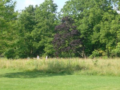 V.A. Barrie Park, Main course, Hole 14 Putt