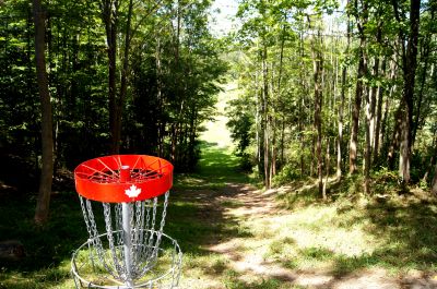 V.A. Barrie Park, Main course, Hole 8 