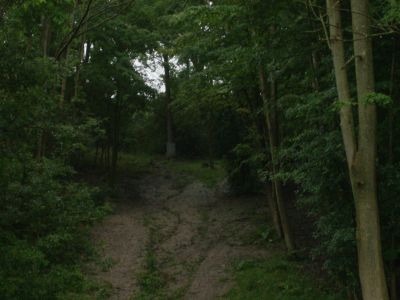 V.A. Barrie Park, Main course, Hole 8 Long approach