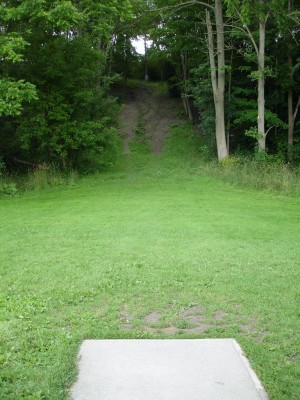 V.A. Barrie Park, Main course, Hole 8 Tee pad