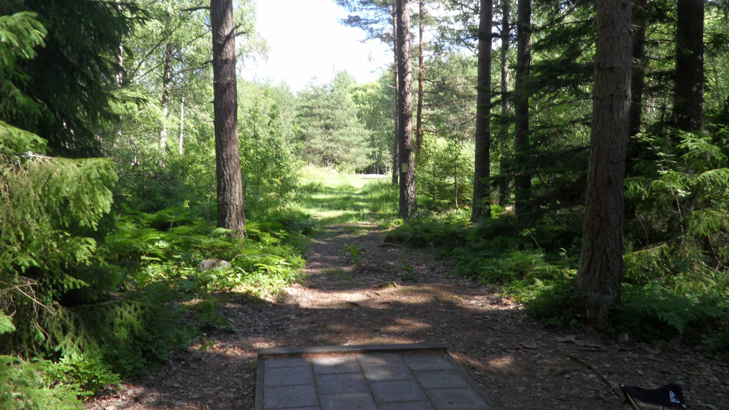 Hole 3 • Bålsta Frisbeegolfbana (Bålsta, Sweden) Disc Golf Courses