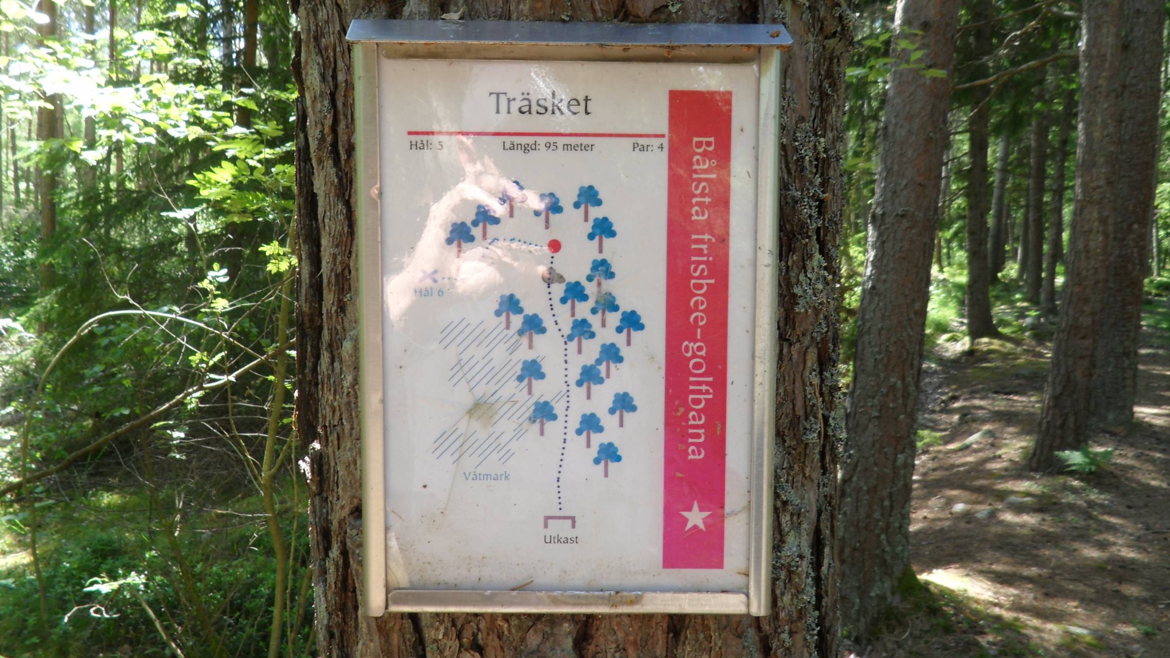 Hole 5 • Bålsta Frisbeegolfbana (Bålsta, Sweden) Disc Golf Courses