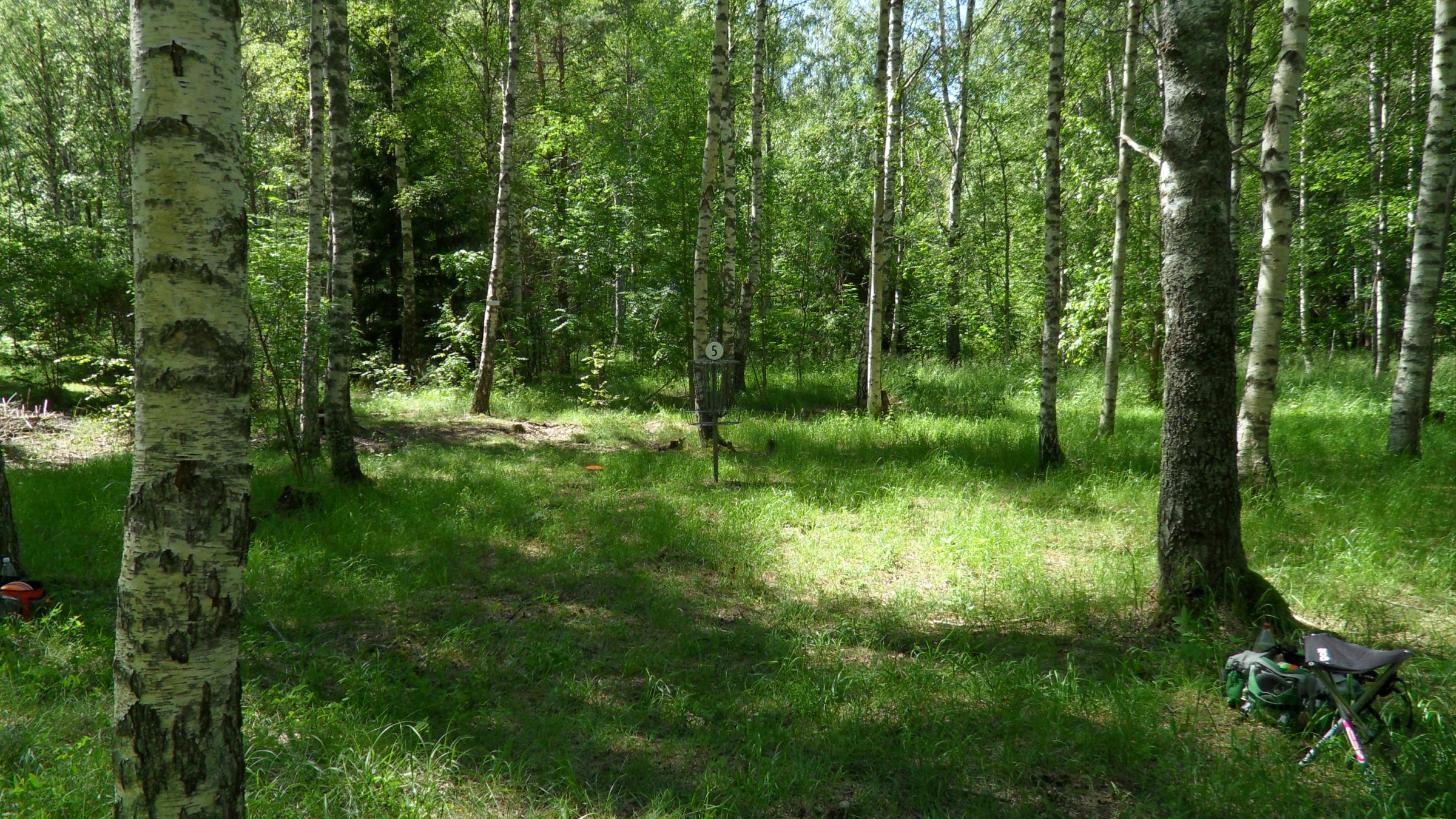 Hole 5 • Lillsjöns Discgolfbana (Stockholm, Sweden) Disc Golf Courses