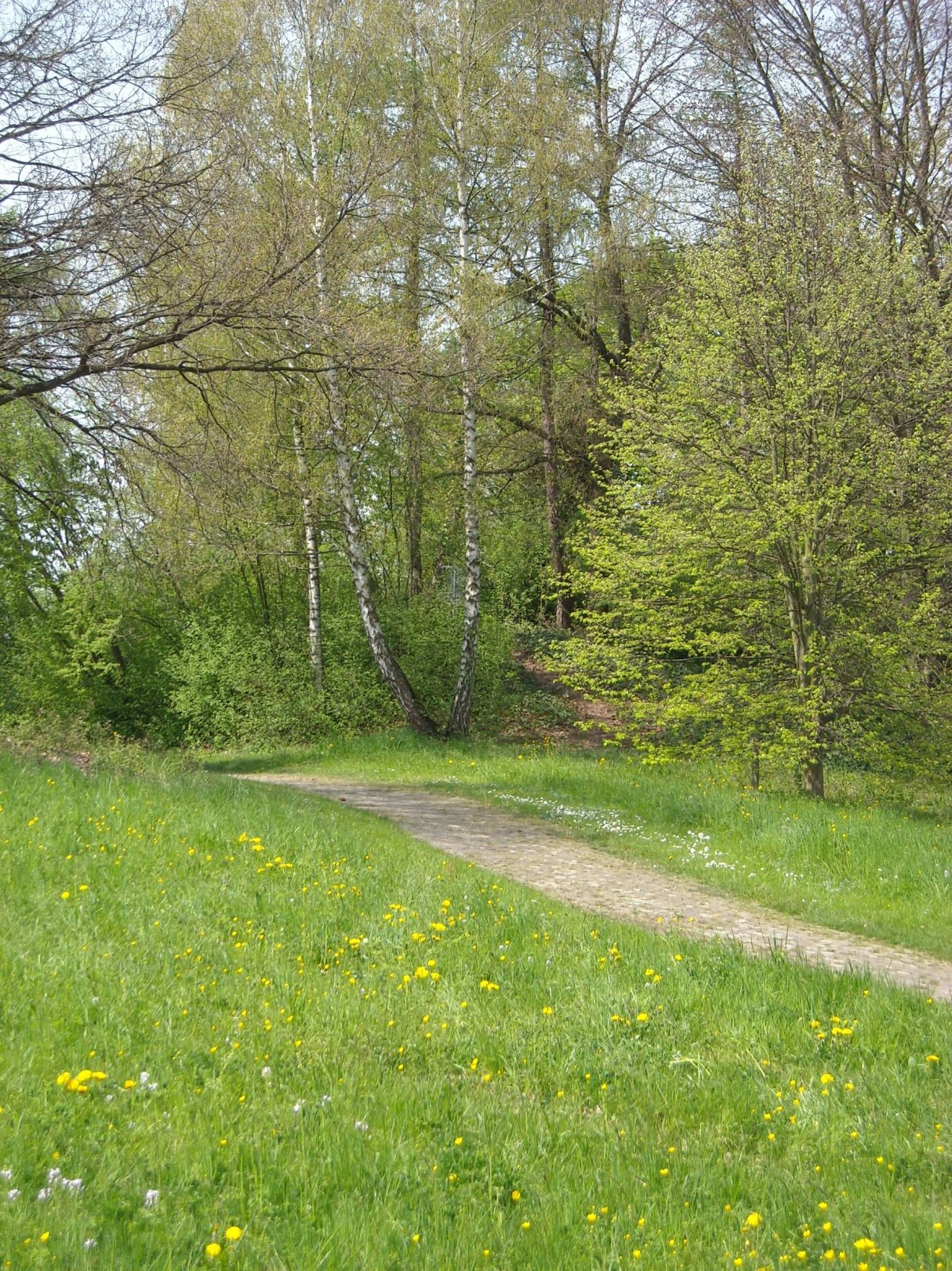 Hole 6 • ZürichHardhof (Zürich, Switzerland) Disc Golf Courses