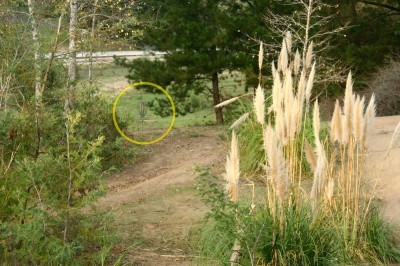 Aptos High School, Main course, Hole 9 Long approach