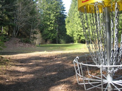 Mossy Roc, Main course, Hole 5 Reverse (back up the fairway)