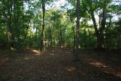 Whitetail Woods, Main course, Hole 3 Tee pad