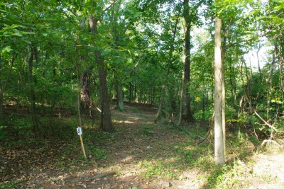 Whitetail Woods, Main course, Hole 4 Long tee pad