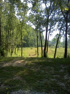 Independence Lake County Park, Red Hawk, Hole E Tee pad