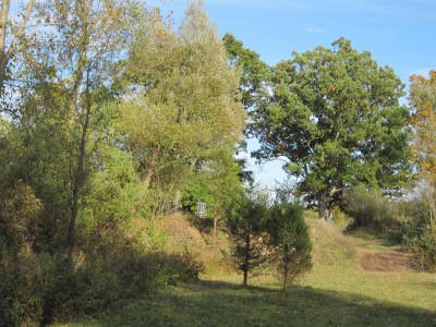 Independence Lake County Park, Red Hawk, Hole 4 Midrange approach