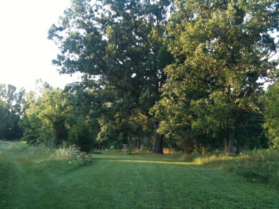 Independence Lake County Park, Red Hawk, Hole 11 Short approach