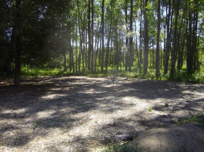 Independence Lake County Park, Red Hawk, Hole B Putt