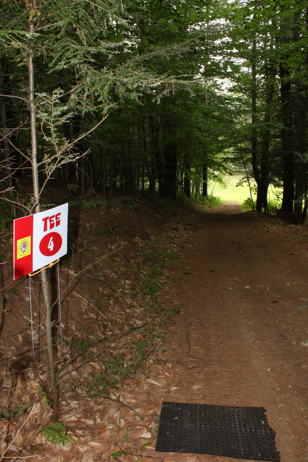 Hole 4 • Stone Bridge & Caves (Pottersville, NY) Disc Golf Courses