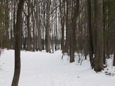 Sanford Lake Park, The Jungle, Hole 3 Tee pad