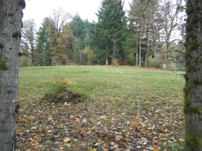 The Clubhouse, Main course, Hole 3 Tee pad