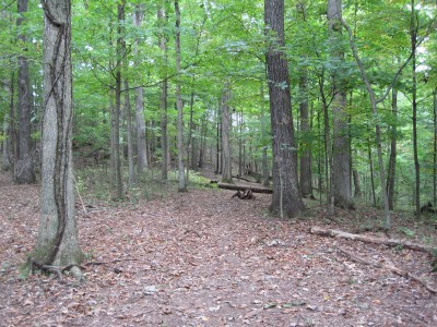 Little Creek Park, Main course, Hole 6 Tee pad