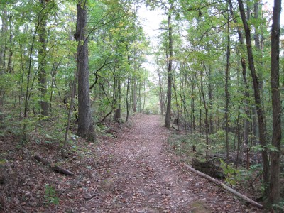 Little Creek Park, Main course, Hole 7 Tee pad