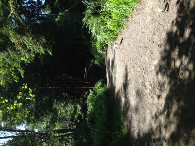 Cooper Gulch, Main course, Hole 3 Tee pad