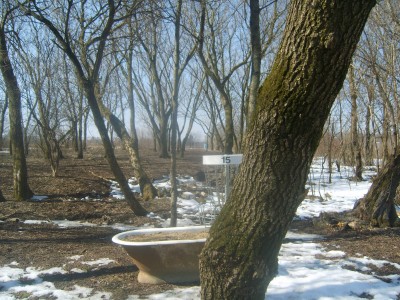 Lemon Lake County Park, White, Hole 15 Reverse (back up the fairway)