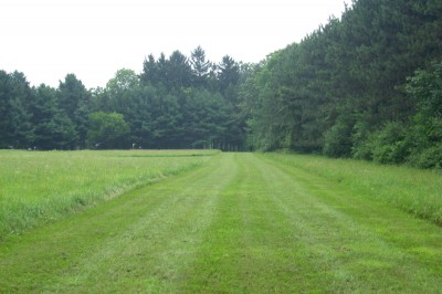 BlueGill, Main course, Hole 4 Tee pad