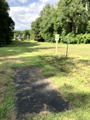 BlueGill, Main course, Hole 24 Short tee pad