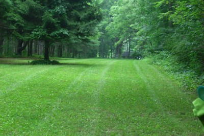 BlueGill, Main course, Hole 2 Tee pad