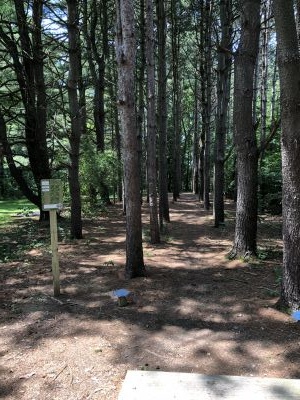 BlueGill, Main course, Hole 3 Tee pad