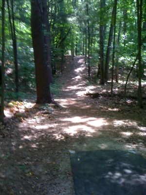 BlueGill, Main course, Hole 19 Tee pad