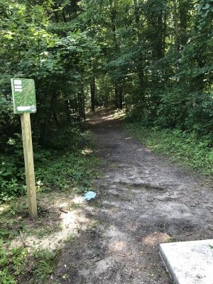 BlueGill, Main course, Hole 13 Tee pad