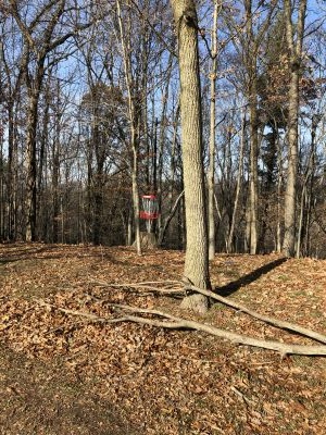 BlueGill, Main course, Hole 6 Short approach