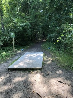 BlueGill, Main course, Hole 13 Tee pad