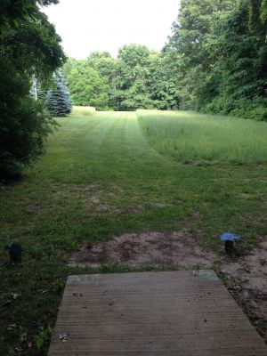 BlueGill, Main course, Hole 21 Tee pad