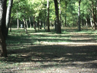 Towne Lake, Main course, Hole 9 Tee pad