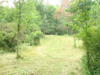 Pierson Road YMCA, YMCA Camp Boomerang Course, Hole 7 Tee pad