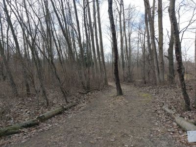 Pierson Road YMCA, YMCA Camp Boomerang Course, Hole 9 