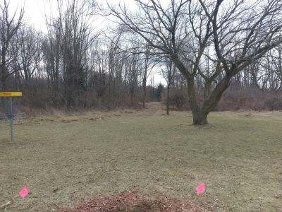 Pierson Road YMCA, YMCA Camp Boomerang Course, Hole 5 Alternate pin