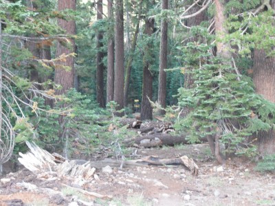 Kirkwood Mountain Resort, Main course, Hole 14 Tee pad