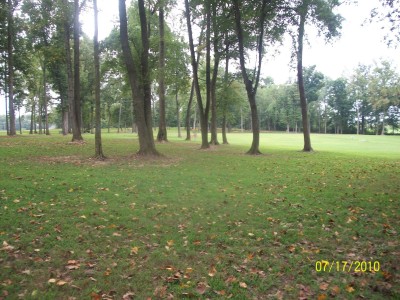 War Memorial Park, Main course, Hole 7 Midrange approach