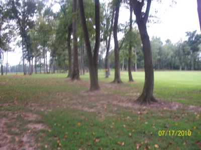 War Memorial Park, Main course, Hole 7 Short approach